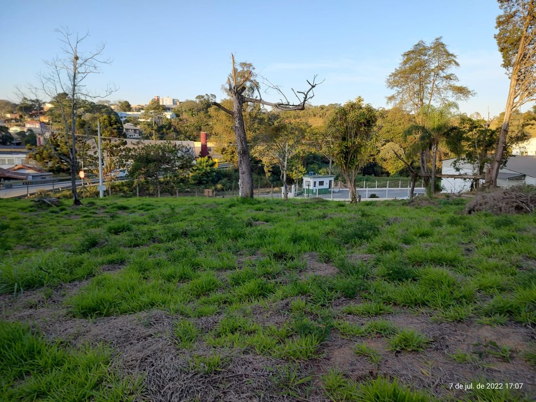 Vista geral da área, com gramado e árvores
