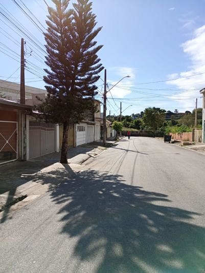 Vista da rua no sentido oposto, com calçada e árvore