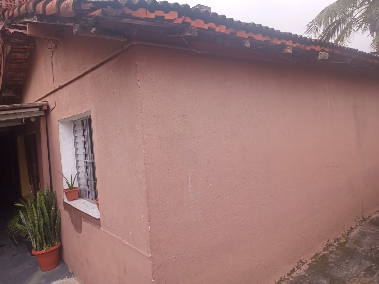 Lateral da casa, com telhado de telha, janela gradeada e plantas