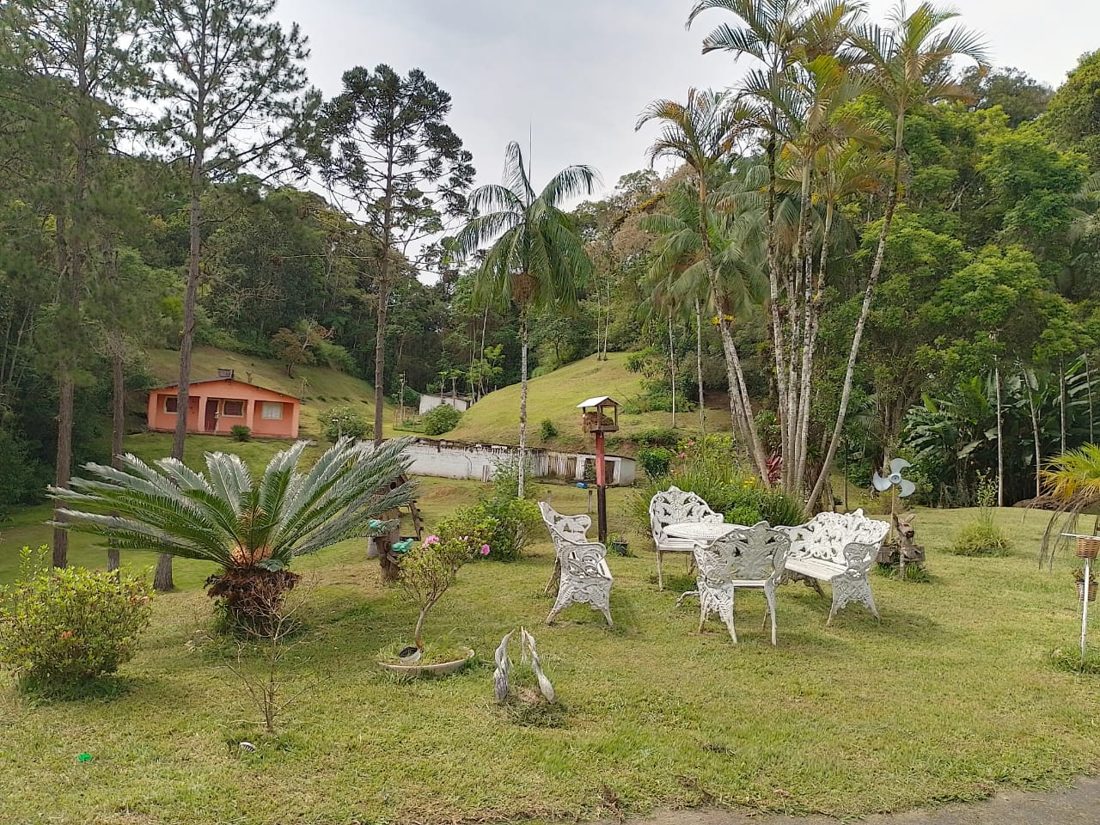 Jardim com palmeiras e mesa de ferro