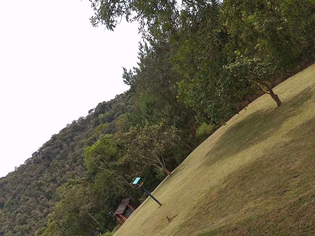 Mata nativa na divisa da propriedade
