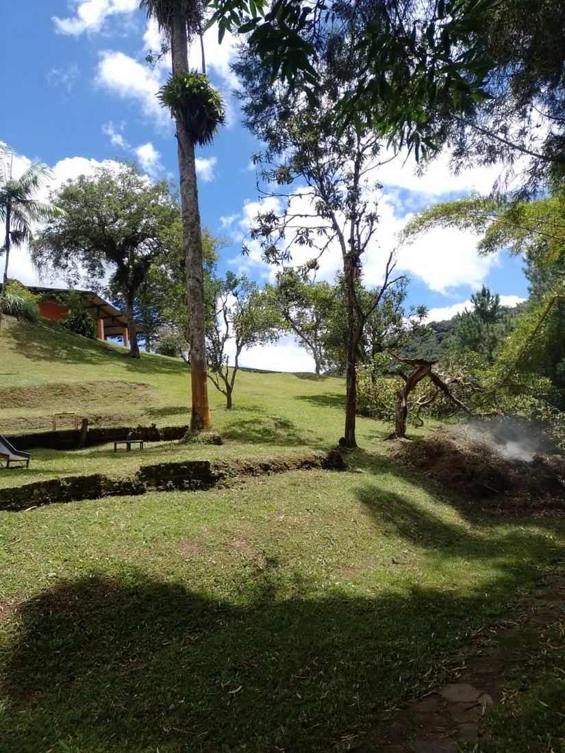 Extensão do terreno, arborizado