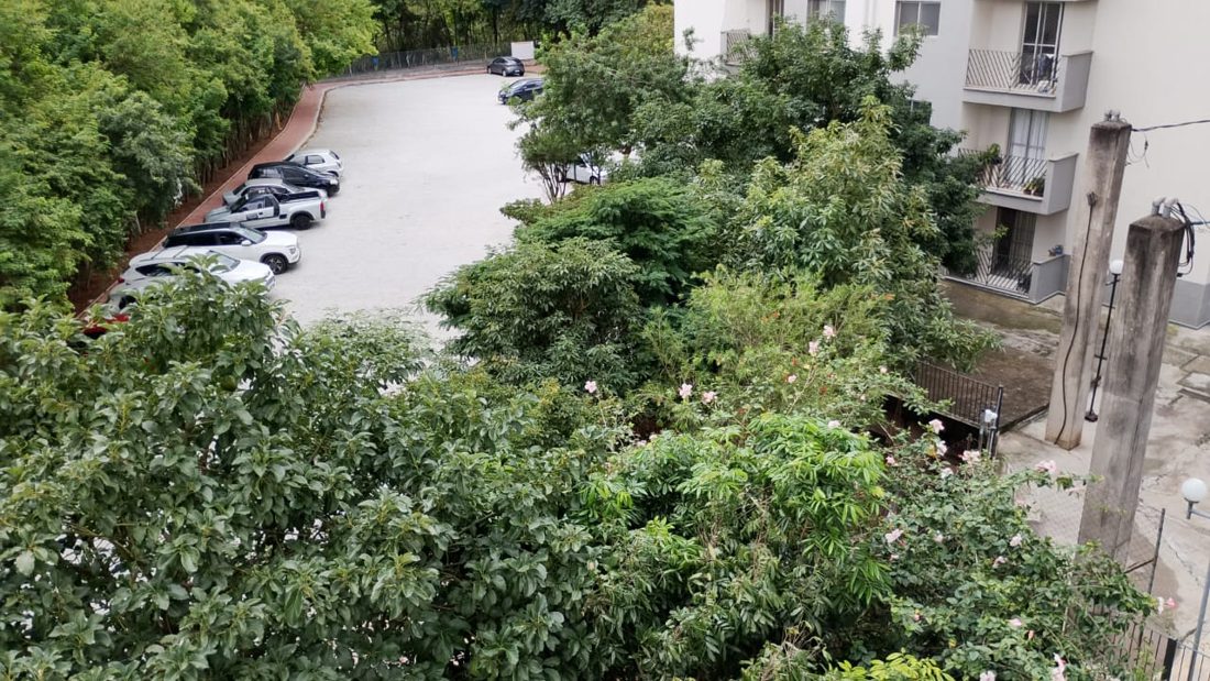 Vista da janela do apartamento, para a área verde