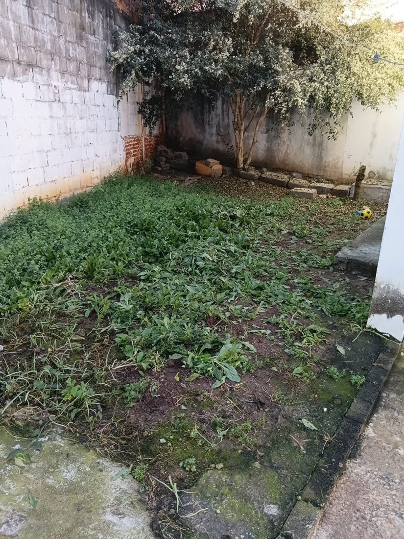 Quintal com terra e vegetação