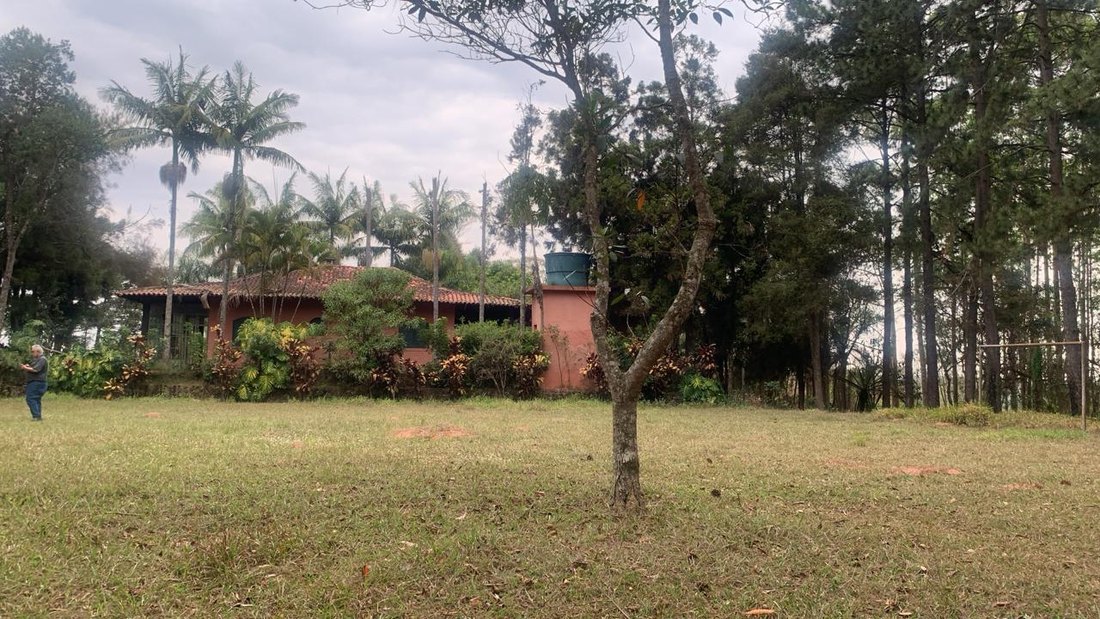 Gramado do terreno, com árvores e construção ao fundo