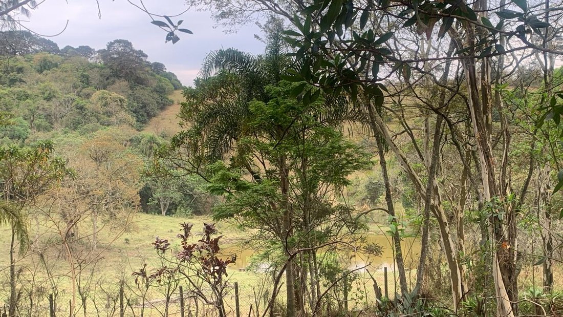 Vista do vale e da mata a partir do terreno